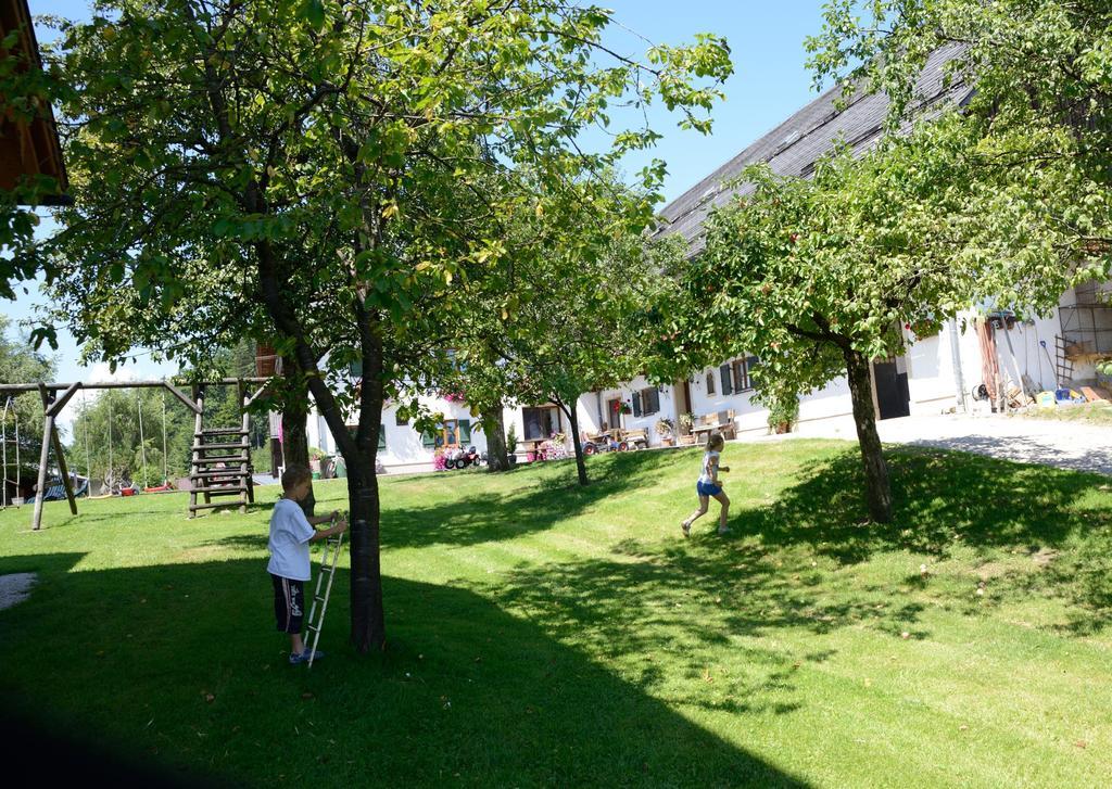 Vila Weinbachbauer - Urlaub Am Bauernhof Saint Wolfgang Exteriér fotografie