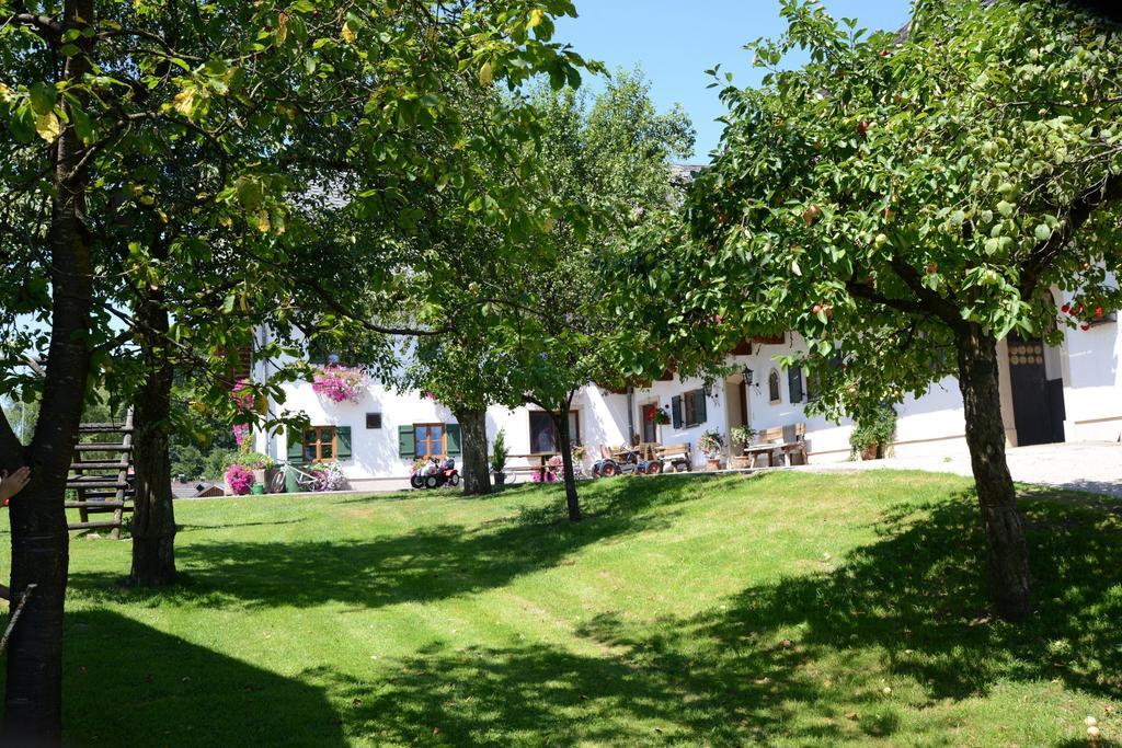 Vila Weinbachbauer - Urlaub Am Bauernhof Saint Wolfgang Exteriér fotografie