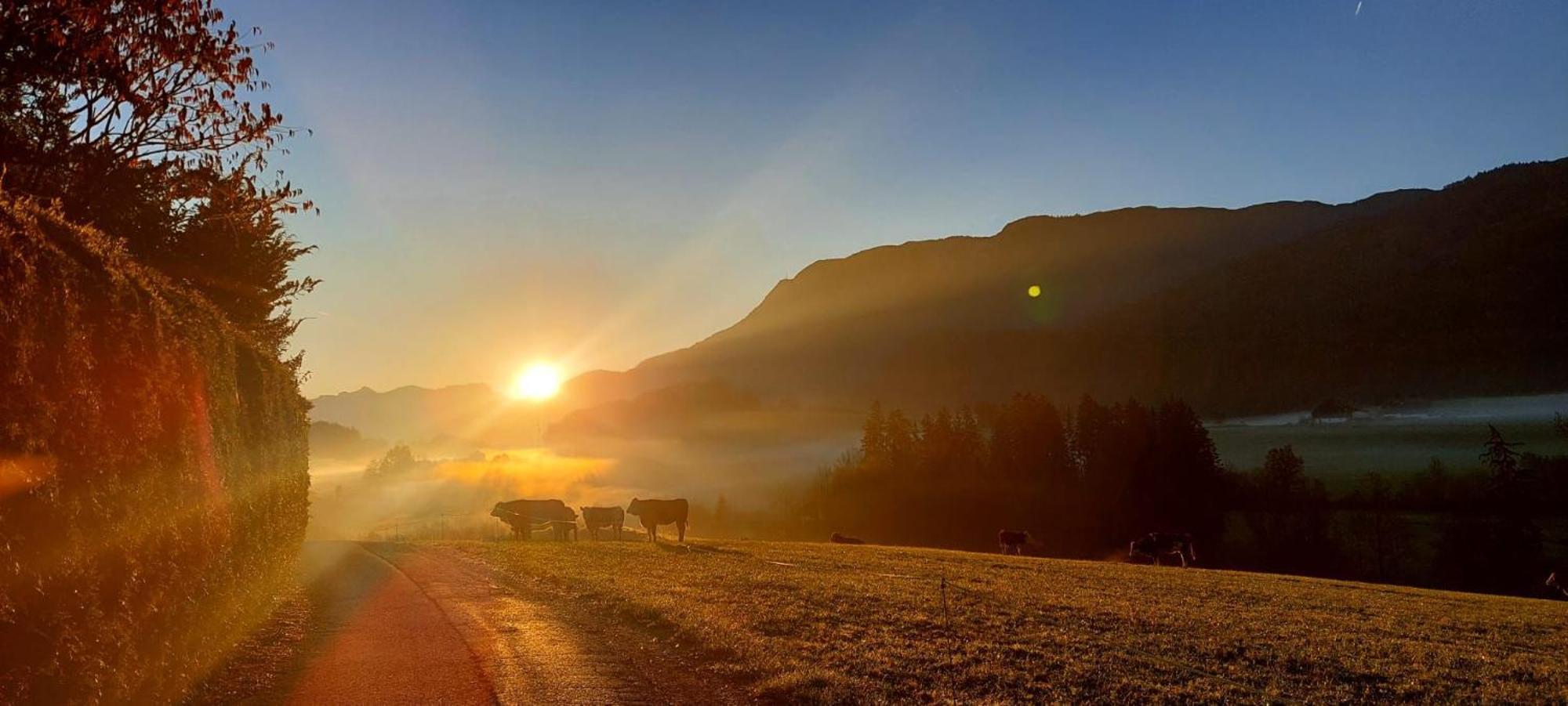 Vila Weinbachbauer - Urlaub Am Bauernhof Saint Wolfgang Exteriér fotografie