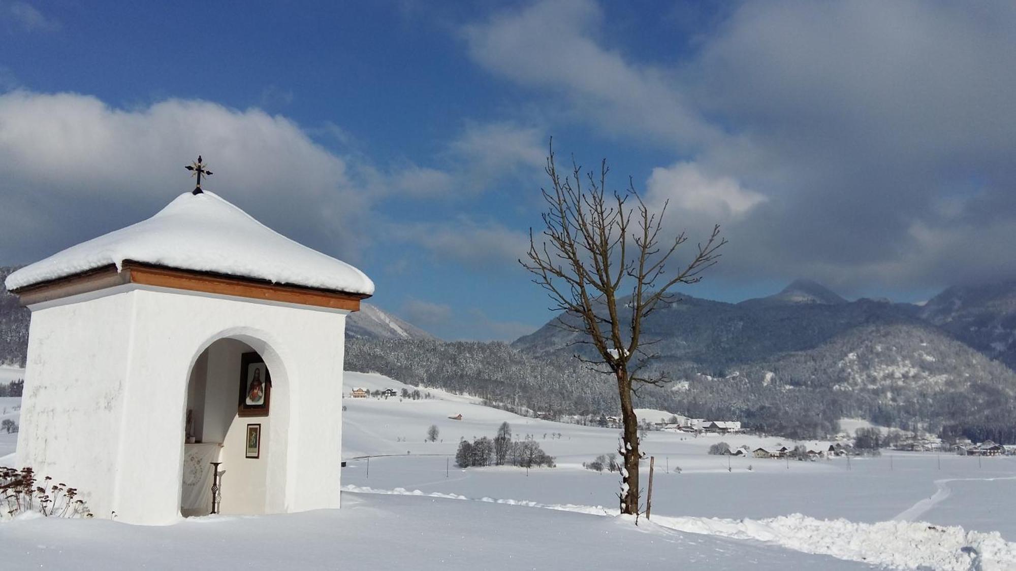 Vila Weinbachbauer - Urlaub Am Bauernhof Saint Wolfgang Exteriér fotografie