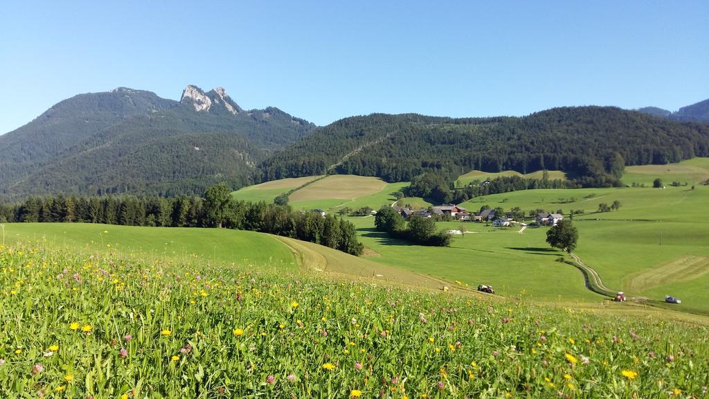 Vila Weinbachbauer - Urlaub Am Bauernhof Saint Wolfgang Exteriér fotografie